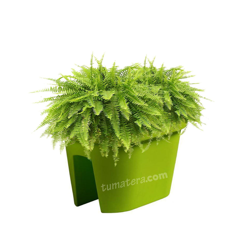 COMBO JARDINERA BALCÓN LOFLY 40 CM CON HELECHOS- Tumatera.co