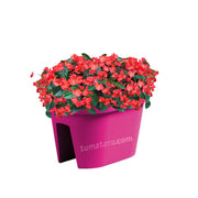 COMBO JARDINERA BALCÓN LOFLY 40 CM CON FLORES- Tumatera.co