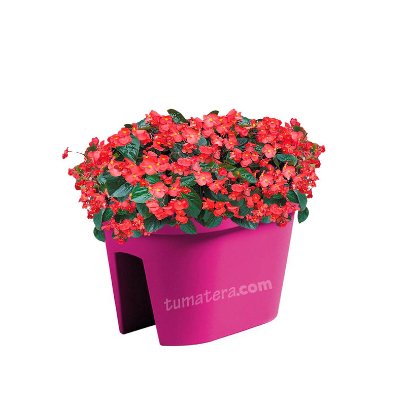 COMBO JARDINERA BALCÓN LOFLY 40 CM CON FLORES- Tumatera.co
