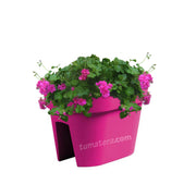 COMBO JARDINERA BALCÓN LOFLY 40 CM CON GERANIUM PELARGOMIUN- Tumatera.co