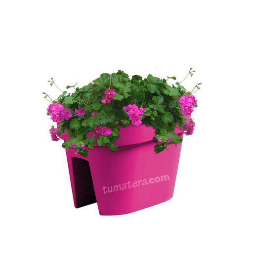 COMBO JARDINERA BALCÓN LOFLY 40 CM CON GERANIUM PELARGOMIUN- Tumatera.co