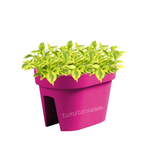 COMBO JARDINERA BALCÓN LOFLY 40 CM CON DURANTAS- Tumatera.co