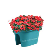 COMBO JARDINERA BALCÓN LOFLY 40 CM CON FLORES- Tumatera.co