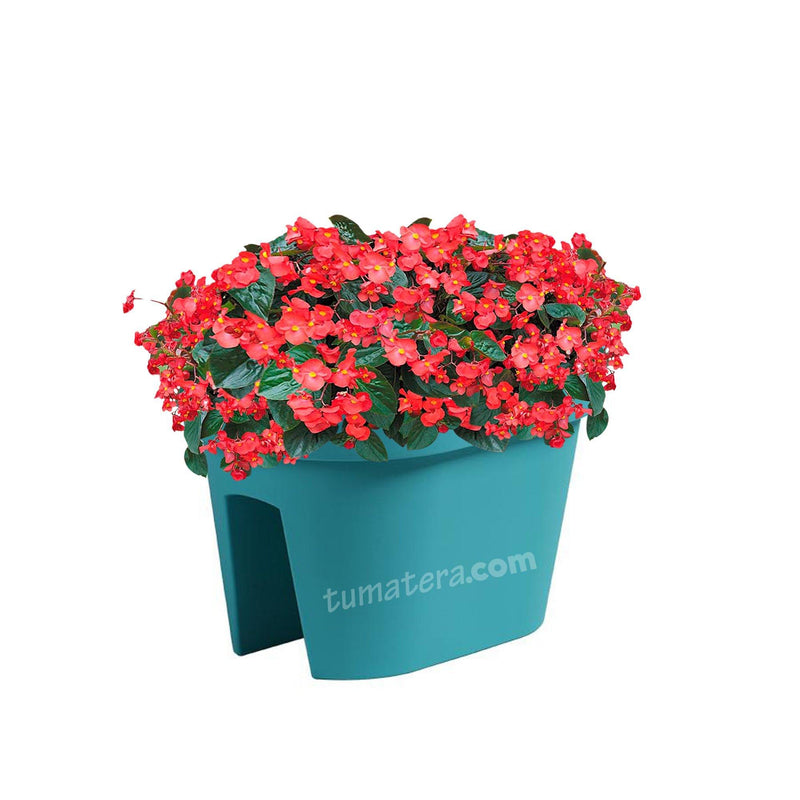 COMBO JARDINERA BALCÓN LOFLY 40 CM CON FLORES- Tumatera.co