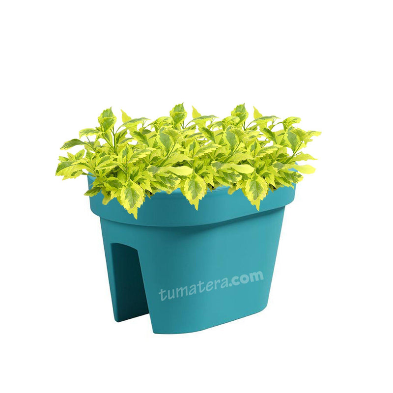 COMBO JARDINERA BALCÓN LOFLY 40 CM CON DURANTAS- Tumatera.co