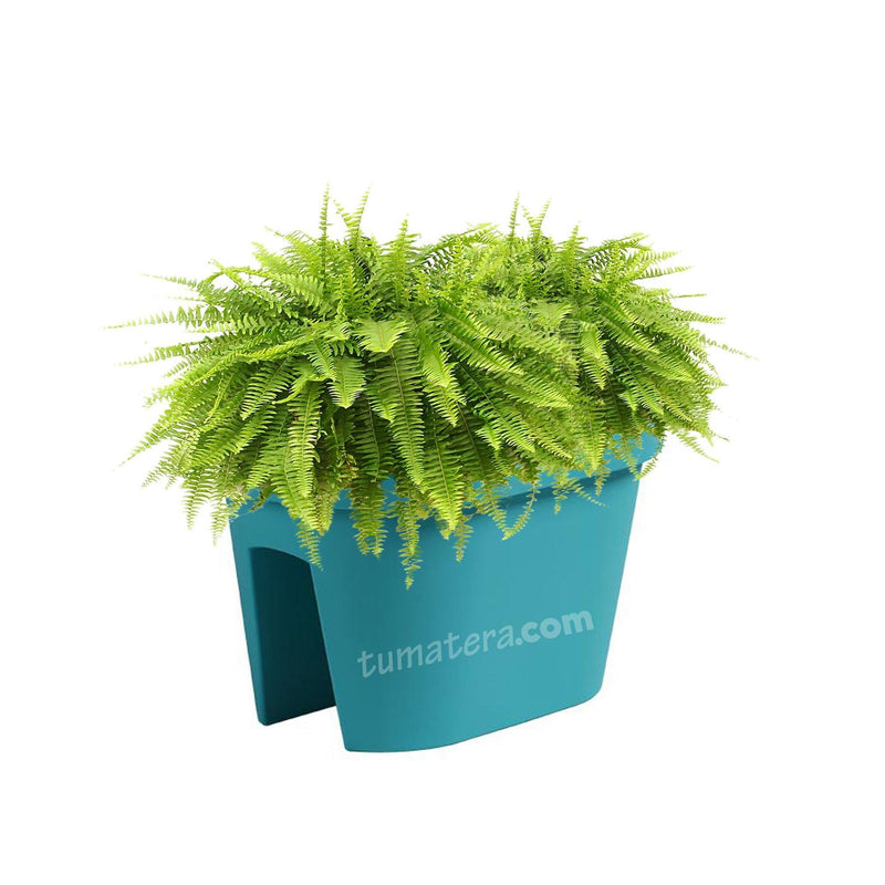 COMBO JARDINERA BALCÓN LOFLY 40 CM CON HELECHOS- Tumatera.co