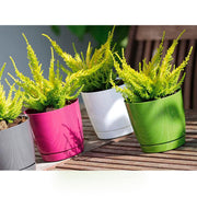 MATERA COUBI ROUND 16 CM - Tumatera.co