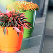 MATERA COUBI ROUND 16 CM - Tumatera.co