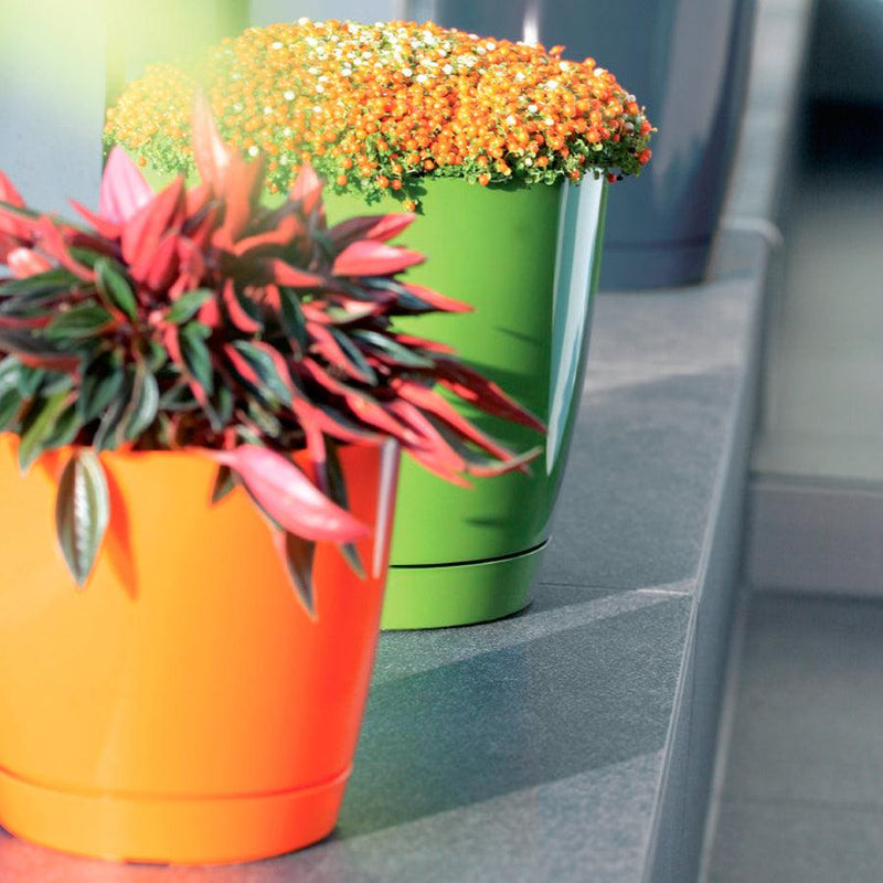 MATERA COUBI ROUND 16 CM - Tumatera.co