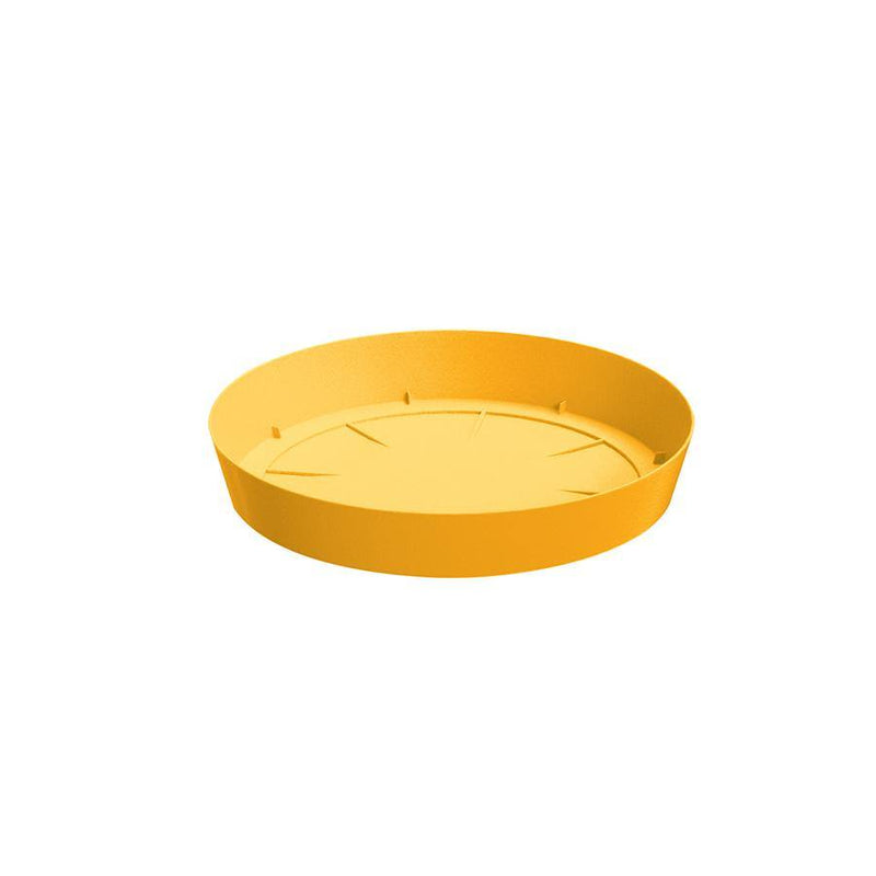 PLATO LOFLY 11 CM - Tumatera.co