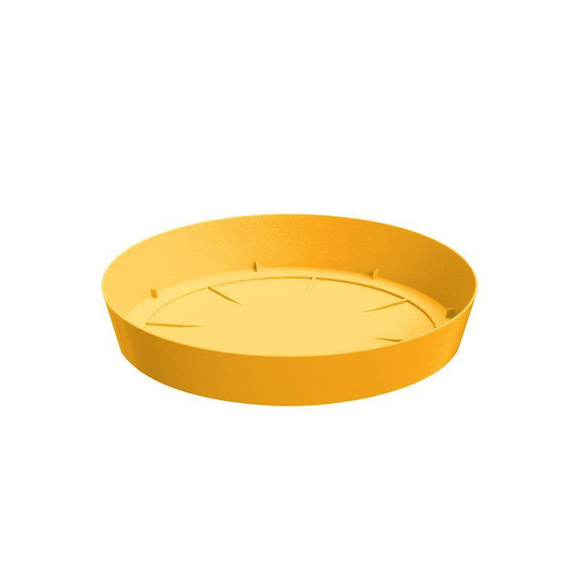 PLATO LOFLY 13 CM - Tumatera.co