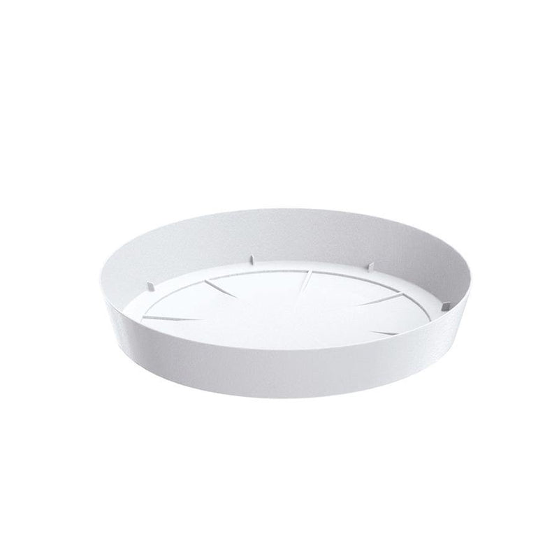 PLATO LOFLY 13 CM - Tumatera.co