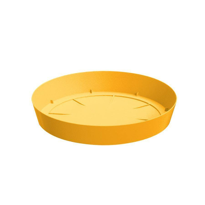 PLATO LOFLY 16 CM - Tumatera.co