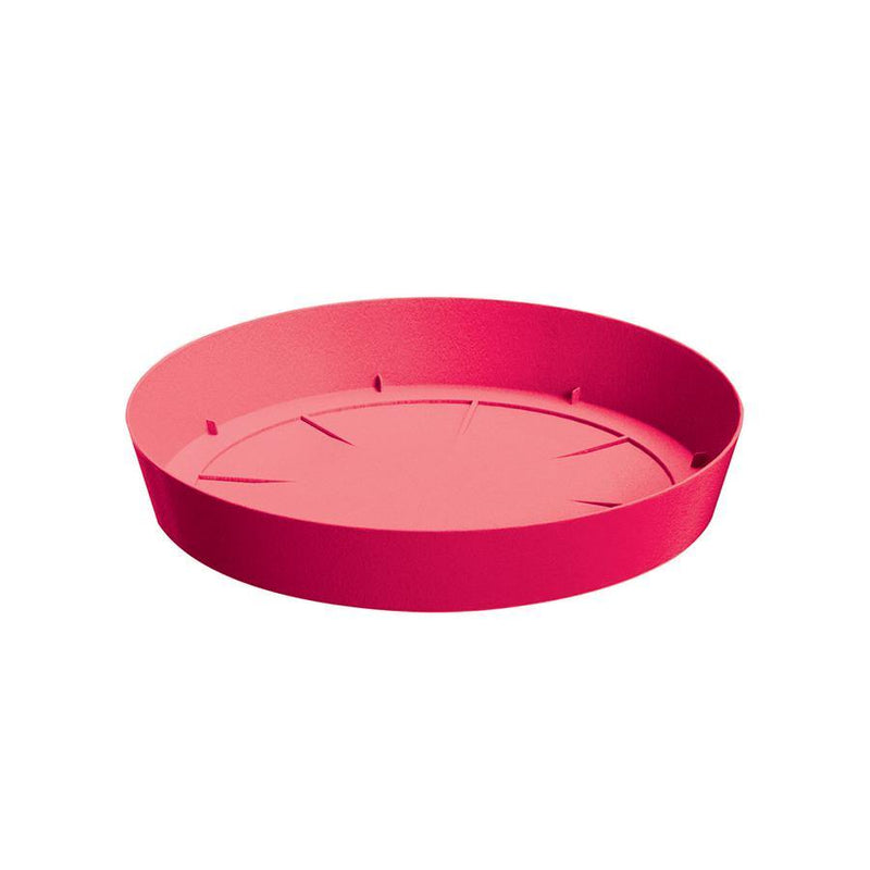 PLATO LOFLY 16 CM - Tumatera.co
