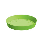 PLATO LOFLY 16 CM - Tumatera.co