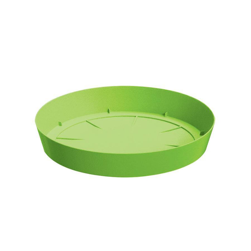 PLATO LOFLY 16 CM - Tumatera.co