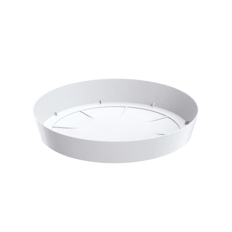 PLATO LOFLY 16 CM - Tumatera.co