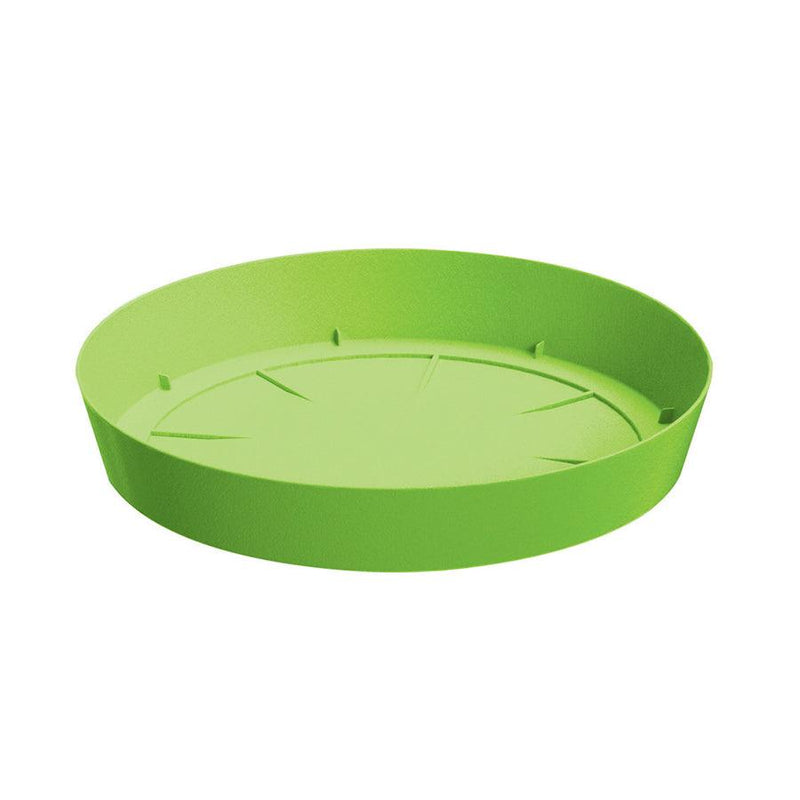 PLATO LOFLY 19 CM - Tumatera.co