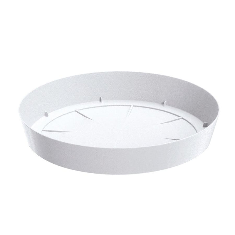 PLATO LOFLY 23 CM - Tumatera.co