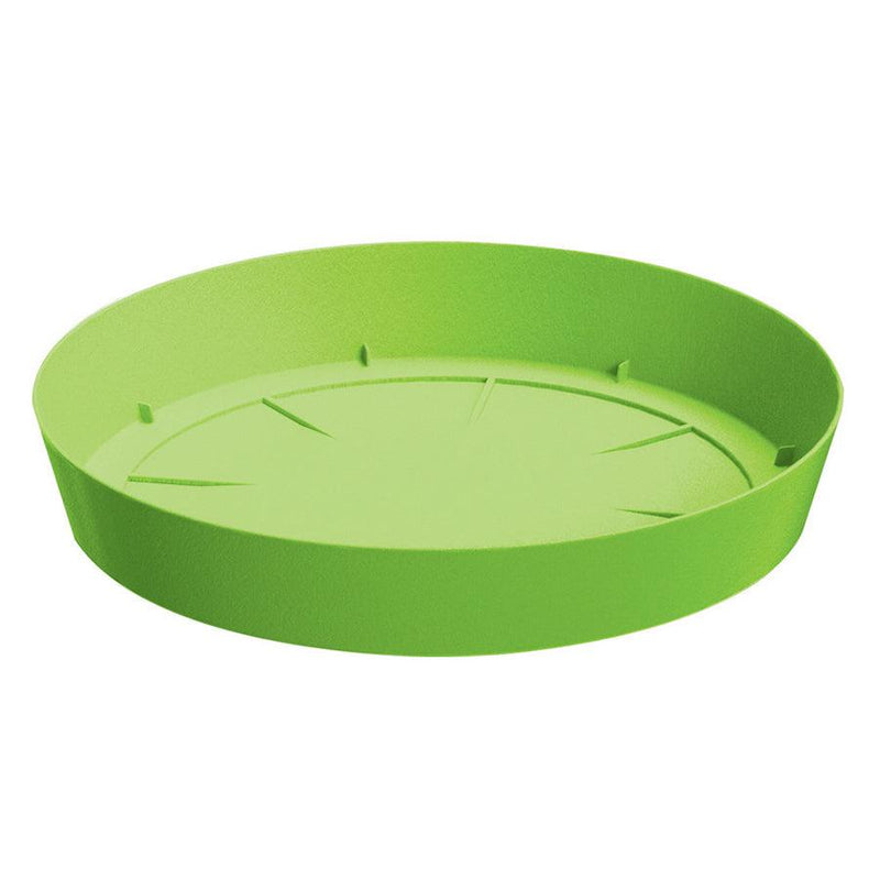 PLATO LOFLY 27 CM - Tumatera.co