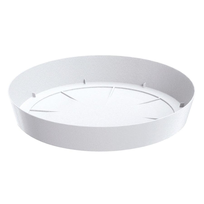 PLATO LOFLY 27 CM - Tumatera.co