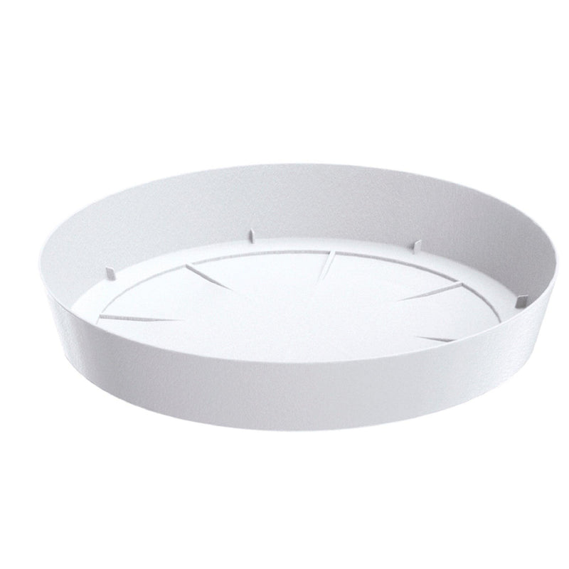 PLATO LOFLY 31 CM - Tumatera.co