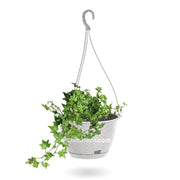 COMBO MATERA RATÁN COLGANTE 24 CM CON HIEDRA INGLESA- Tumatera.co