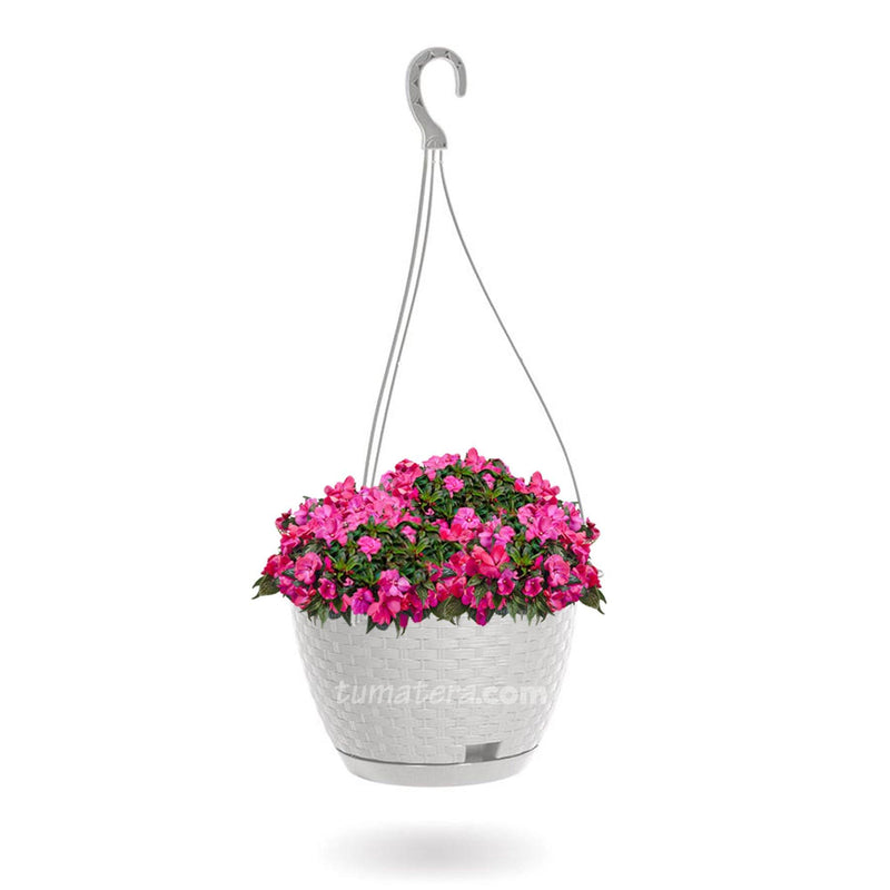 COMBO MATERA RATÁN COLGANTE 24 CM CON GUINEAS- Tumatera.co