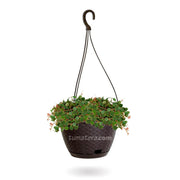 COMBO MATERA RATÁN COLGANTE 24 CM CON CENTAVITO- Tumatera.co