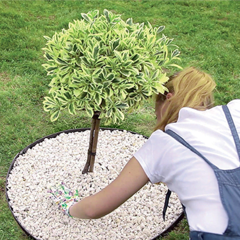 Borde plastico para jardin 48 cm -Tumatera.com