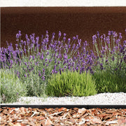 Borde plastico para jardin 48 cm -Tumatera.com