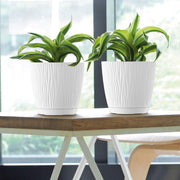 MATERA SANDY P 19 CM - Tumatera.co