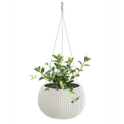COMBO MATERA SPLOFY BOWL COLGANTE 29 CM CON PLANTA PESCADITO- Tumatera.co