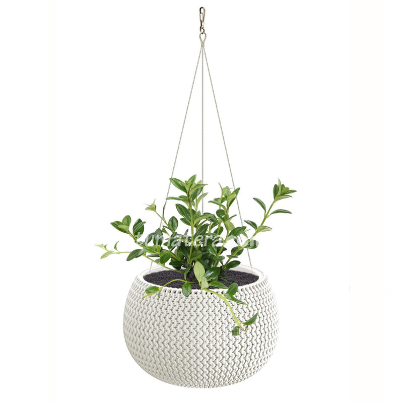 COMBO MATERA SPLOFY BOWL COLGANTE 29 CM CON PLANTA PESCADITO- Tumatera.co