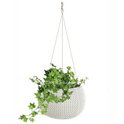 COMBO MATERA SPLOFY BOWL COLGANTE 29 CM CON HIEDRA INGLESA- Tumatera.co