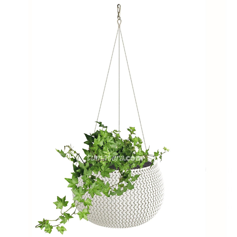 COMBO MATERA SPLOFY BOWL COLGANTE 29 CM CON HIEDRA INGLESA- Tumatera.co