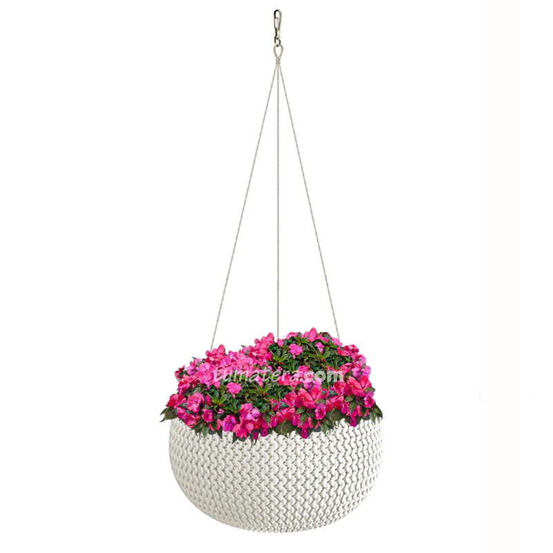 COMBO MATERA SPLOFY BOWL COLGANTE 29 CM CON GUINEAS- Tumatera.co
