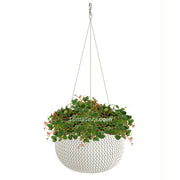 COMBO MATERA SPLOFY BOWL COLGANTE 29 CM CON CENTAVITO- Tumatera.co