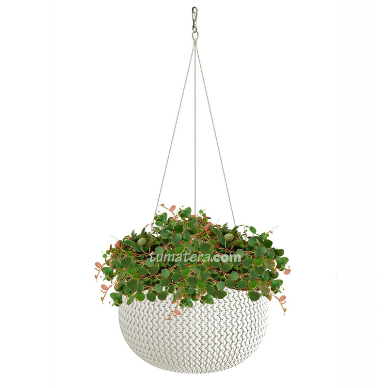 COMBO MATERA SPLOFY BOWL COLGANTE 29 CM CON CENTAVITO- Tumatera.co