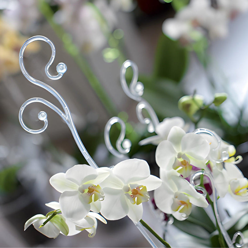 TUTOR DE ORQUIDEA DOBLE 59 CM - Tumatera.co