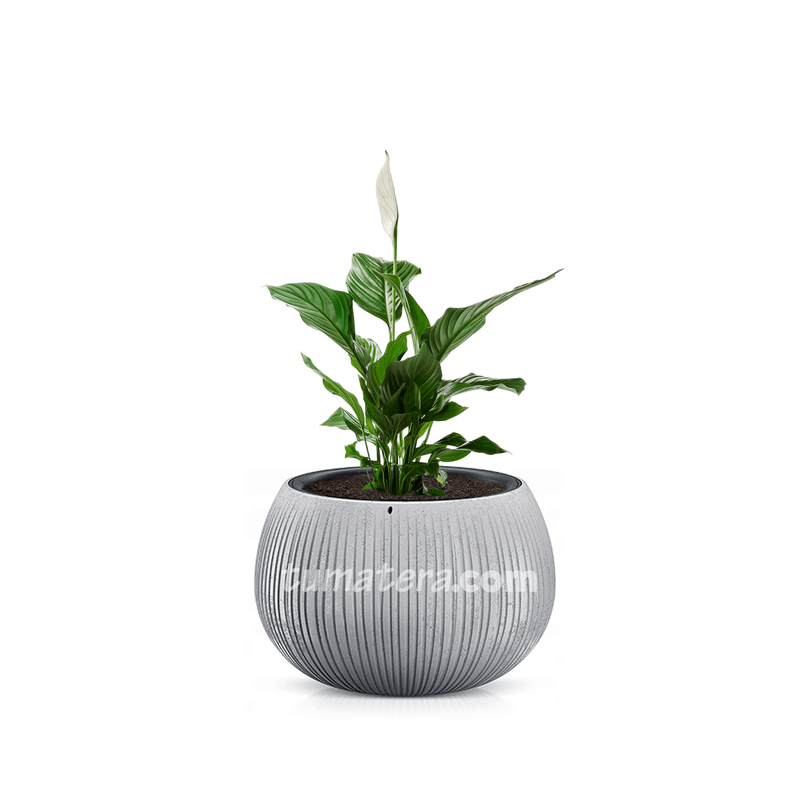 COMBO BETON BOWL 29 CM CON ESPATIFILO - Tumatera.co