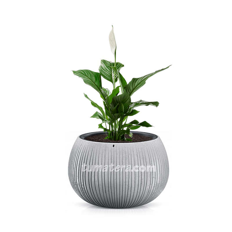COMBO BETON BOWL 37 CM CON ESPATIFILO - Tumatera.co