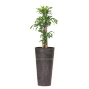 COMBO TUBUS BETON 57 CM CON PALO DE BRASIL - Tumatera.co