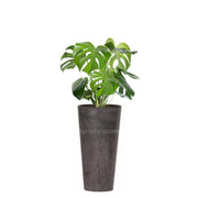 COMBO TUBUS BETON 57 CM CON BALAZO- Tumatera.co