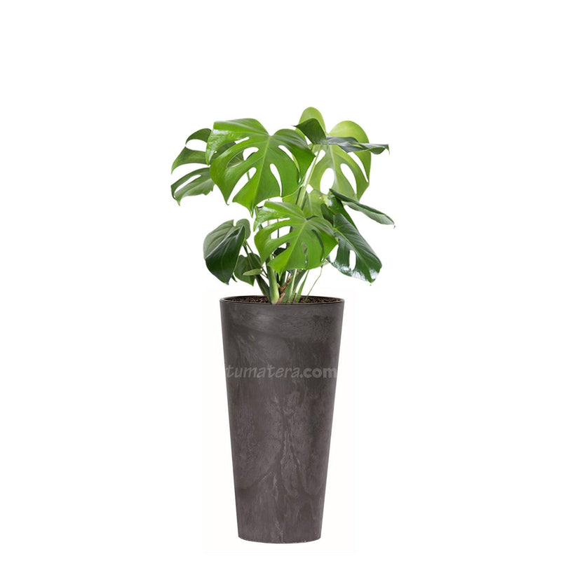COMBO TUBUS BETON 57 CM CON BALAZO- Tumatera.co