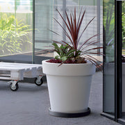 BASE ROUND BORDER 37 CM - Tumatera.co