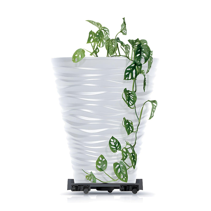 BASE ROUND BORDER 37 CM - Tumatera.co