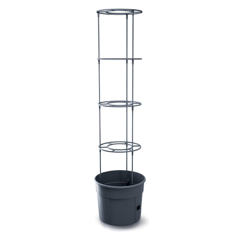 MATERA 39 CM PARA SIEMBRA DE TOMATES - Tumatera.co