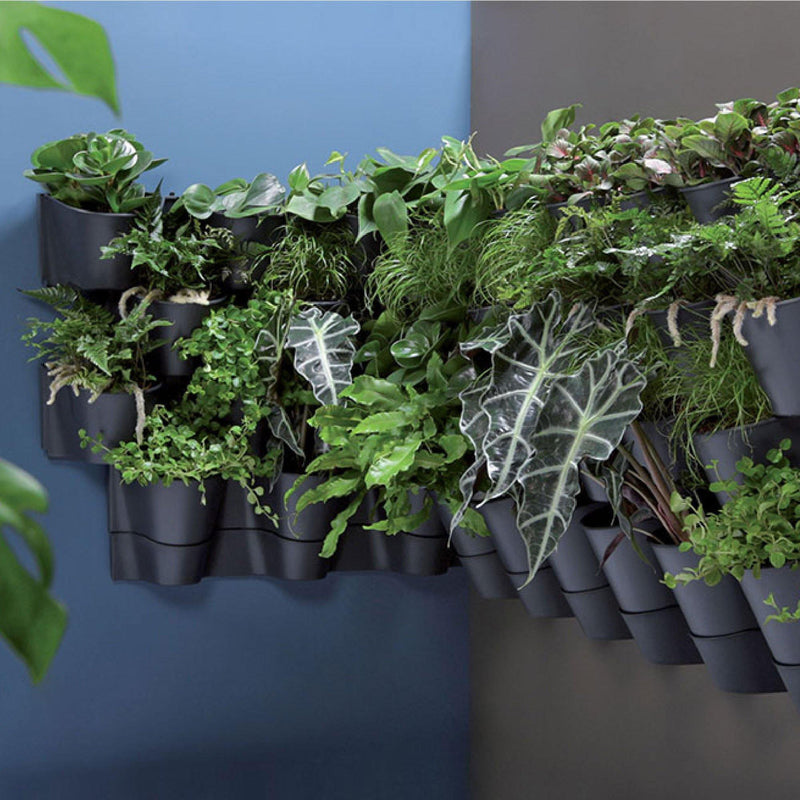 JARDÍN VERTICAL CASCADE WALL 67 CM - Tumatera.co