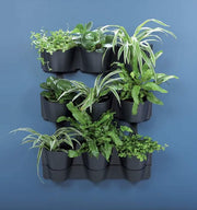 JARDÍN VERTICAL CASCADE WALL 67 CM - Tumatera.co